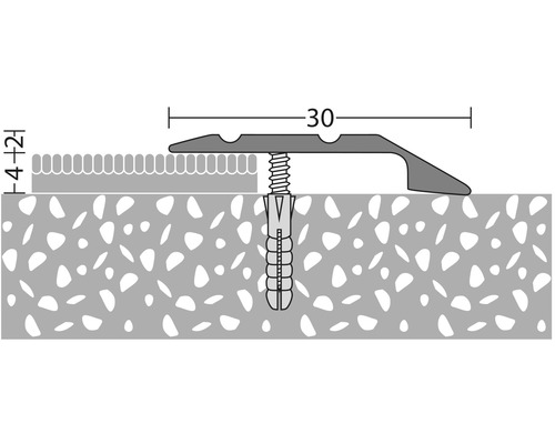 Ilustrácia prechodového profilu so skrutkou a hmoždinkou na montáž.