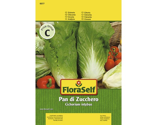 Balíček semien čakanky FloraSelf Pan di Zucchero