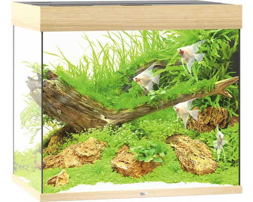 Akvárium s rastlinami, kameňmi a rybami