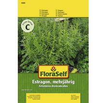 FloraSelf Estragon viacročná súprava semien