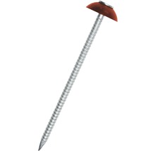 Strešný klinec s veľkou hlavou