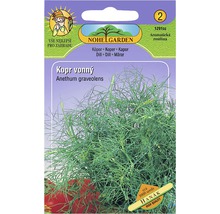 Balíček semien kôpru