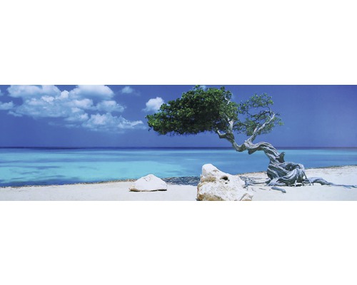 Panoramatická fotografia pláže so stromom Divi-Divi a výhľadom na more