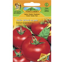 Balenie semien kolíkových paradajok