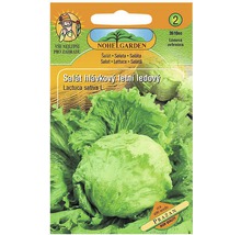 Balenie semien ľadového šalátu