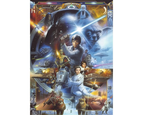 Fototapeta papierová 4-441 Disney Edition 2 Star Wars Luke Skywalker 4-dielna 184x254 cm