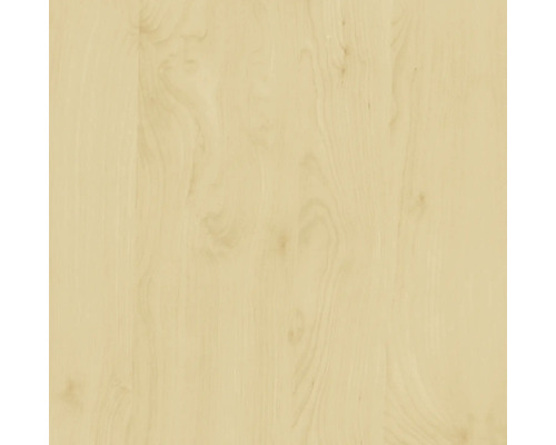Samolepiaca fólia d-c-fix® drevodekor breza 45x200 cm Drevená textúra pre podlahové krytiny