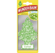 Osviežovač Wunder Baum Everfresh-thumb-0