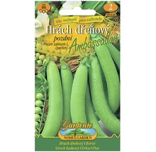 Balenie semien dreňového hrachu Ambassador