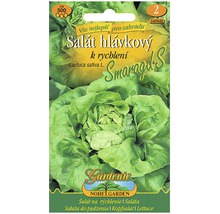 Balíček semien hlávkového šalátu Smaragd S