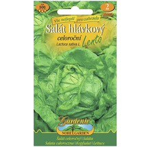 Balenie semien hlávkového šalátu