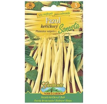 Balíček semien kríčkovej fazule Sonesta