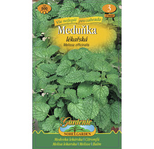 Balenie semien medovky lekárskej do záhrady