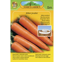 Pásik so semenami neskorej mrkvy s obaľovaným osivom