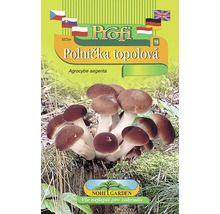 Sada na pestovanie hlivy ustricovej na obale