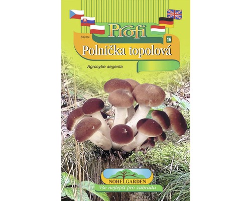 Sada na pestovanie hlivy ustricovej na obale