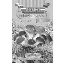 Balenie semien hlivy ustricovej pre záhradu