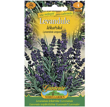 Balíček semien levandule lekárskej