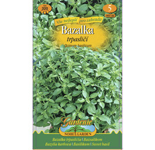 Balíček semien bazalky trpasličej