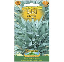 Balíček semien šalvie pre záhradu