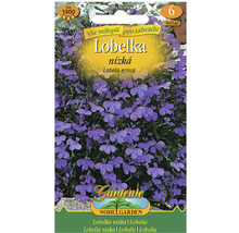 Balenie semien Lobelka