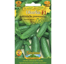 Balenie semien uhoriek odrody Okurka F1