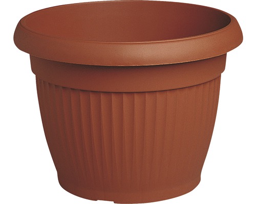 Plastovy Kvetinac 30 Cm (plastových květináčů, květináče průměru, plastové květináče, plastový květináč, plastové květináče průměru) Plastovy Kvetinac 30 Cm
