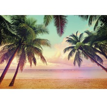 Fototapeta papierová 8-967 VOL 15 Miami 8-dielna 368x254 cm