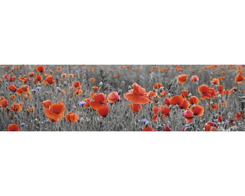Samolepiace PVC tapeta do kuchyne mySPOTTI splash Vlčí máky 60x220 cm Makové pole s červenými kvetmi