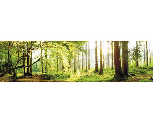 Samolepiace PVC tapeta do kuchyne mySPOTTI splash Les 60x220 cm Lesná scéna so stromami a slnečným svetlom