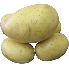 Žlté zemiaky naskladané na sebe