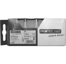 PROTEC.class poistka DII 6 ampérov, balenie 5 kusov