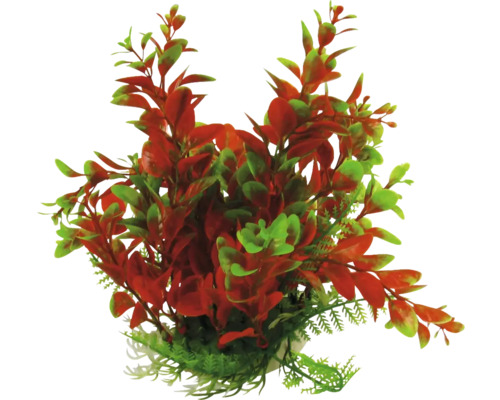 Dekoratívna akvarijná rastlina s červenými a zelenými listami.