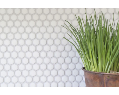 Pozadie s bielymi šesťuholníkovými dlaždicami a rastlinou v kvetináči