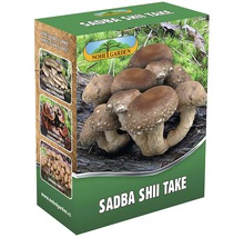 Sada na pestovanie huby Shiitake