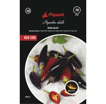 Chilli paprička Royal Black Piquant