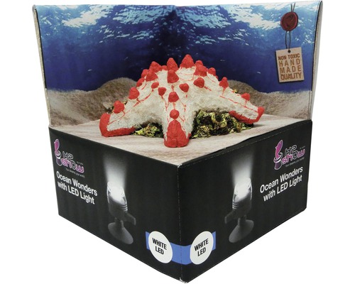 Dekorácia H2 Show Ocean s LED svetlom v balení