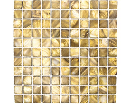 Mušľová mozaika SM 2569 béžová/hnedá 30 x 30 cm-0