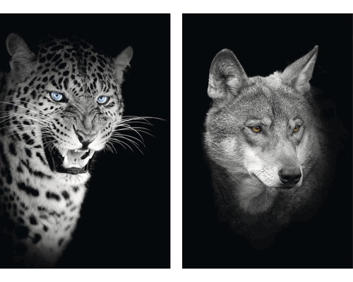 Obraz bez rámu Jaguár a vlk 2x(24x30) cm