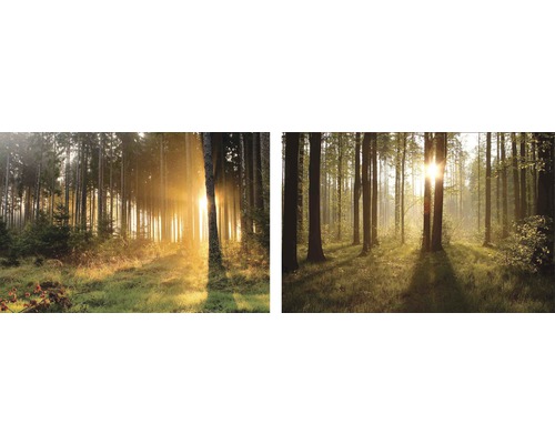 Obraz bez rámu Lesy 2x(24x30) cm