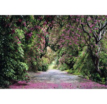 Fototapeta papierová 8-985 VOL 15 Wicklow Park 8-dielna 368x254 cm