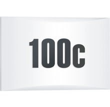 Symbol pre 100 centov