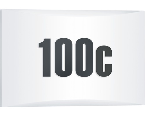 Symbol pre 100 centov