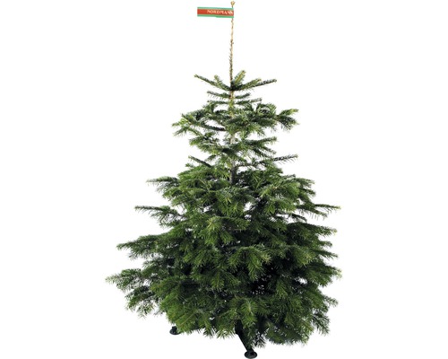 Kaukazská jedľa s označením pôvodu