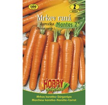 Semená mrkvy odrody Nantes 2