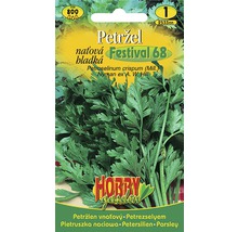 Semená petržlenu Festival 68