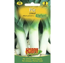 Balenie semien zimného póru