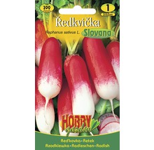 Balenie semien redkvičky