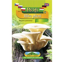 Sada na pestovanie hlivy ustricovej doma