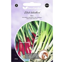 Balenie semien pažítky